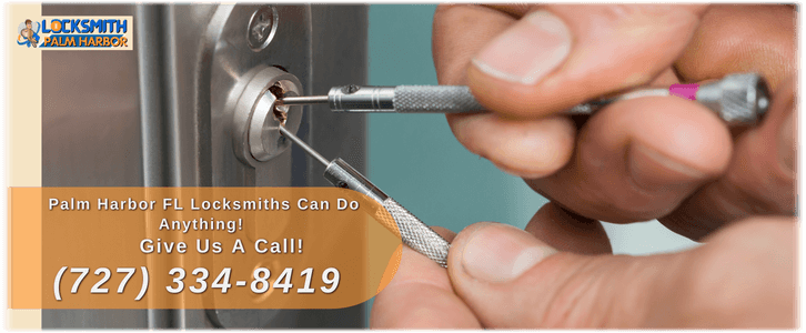 Lock Rekey Service Locksmith Palm Harbor FL (727) 334-8419