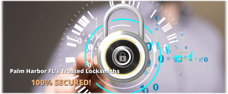 Safe Cracking Service Locksmith Palm Harbor FL (727) 334-8419